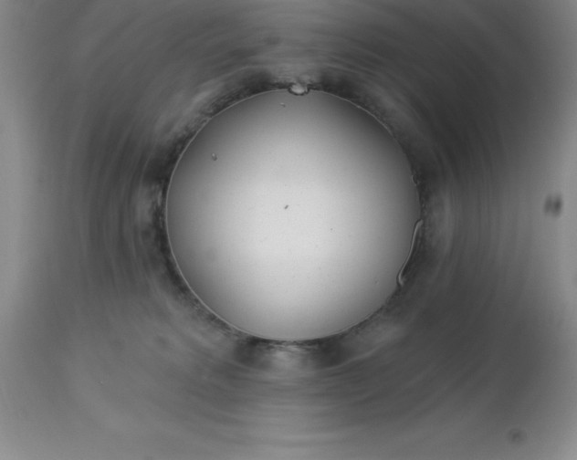 X0000113120229200909111147