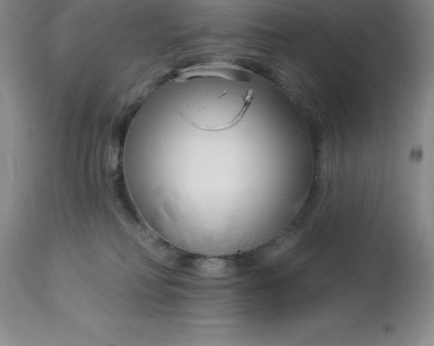 X0000113120230200909111147