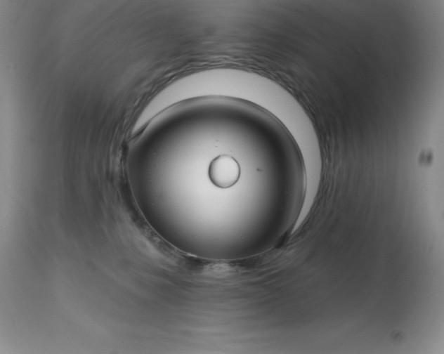 X0000113120231200909111147