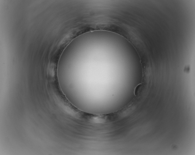 X0000113120232200909111147