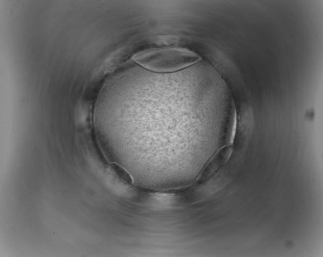 X0000113120233200909111147