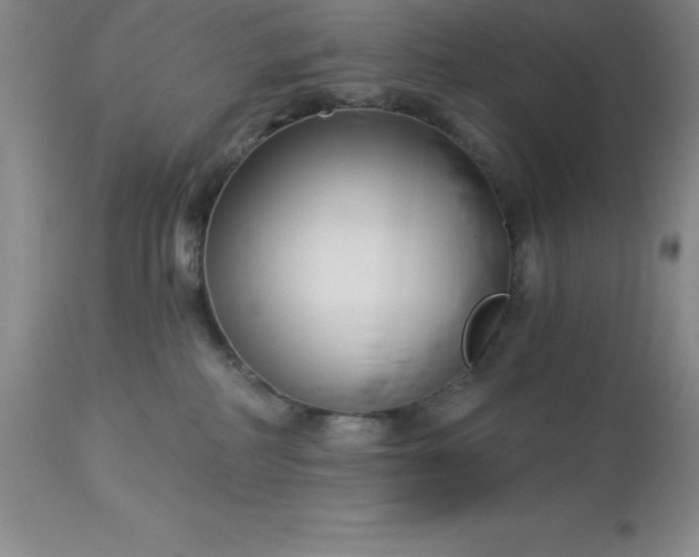 X0000113120234200909111147