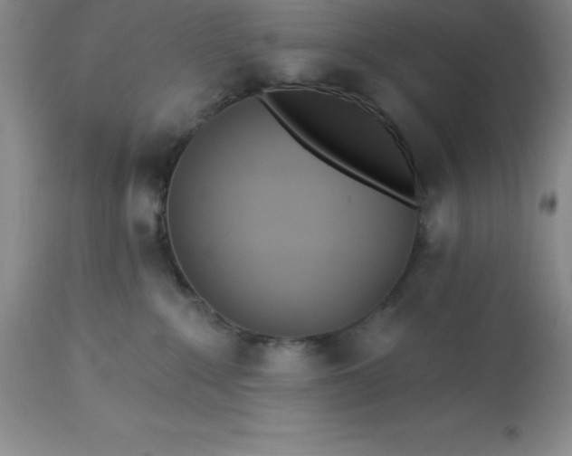 X0000113120235200909111147