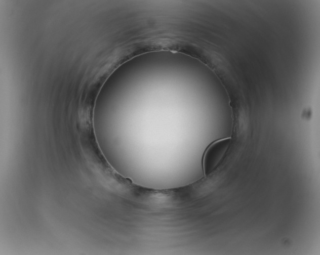 X0000113120236200909111147