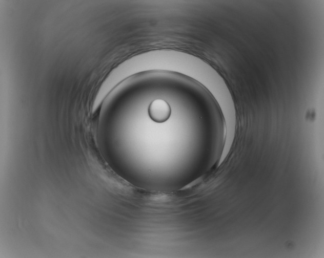 X0000113120237200909111147