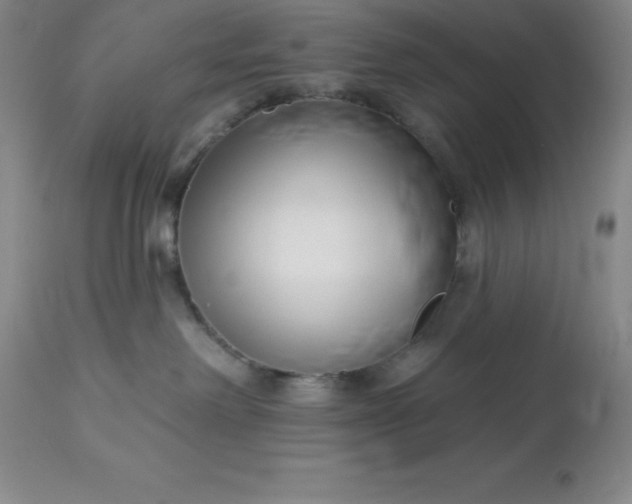 X0000113120238200909111147