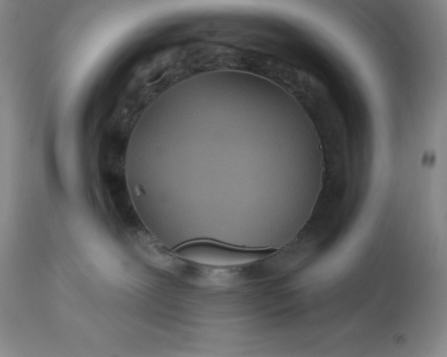 X0000113120239200909111147