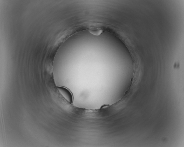 X0000113120240200909111147