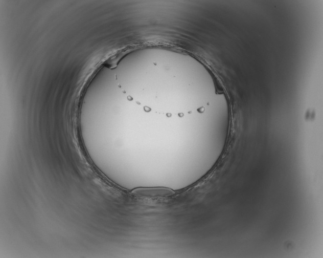 X0000113120241200909111146