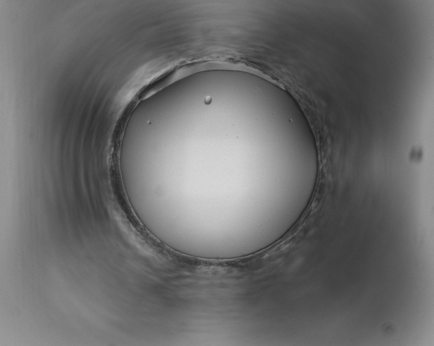 X0000113120242200909111146