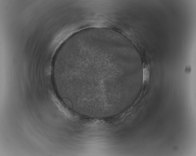 X0000113120243200909111146