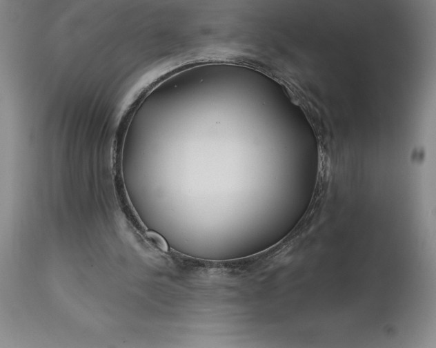 X0000113120244200909111146