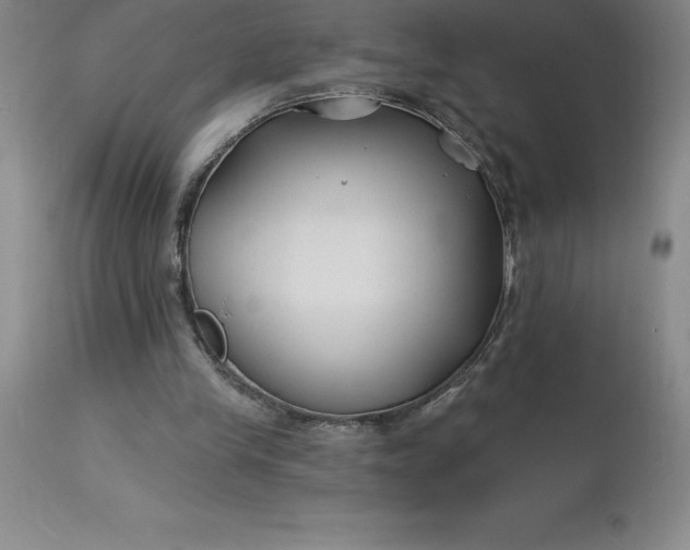 X0000113120245200909111146