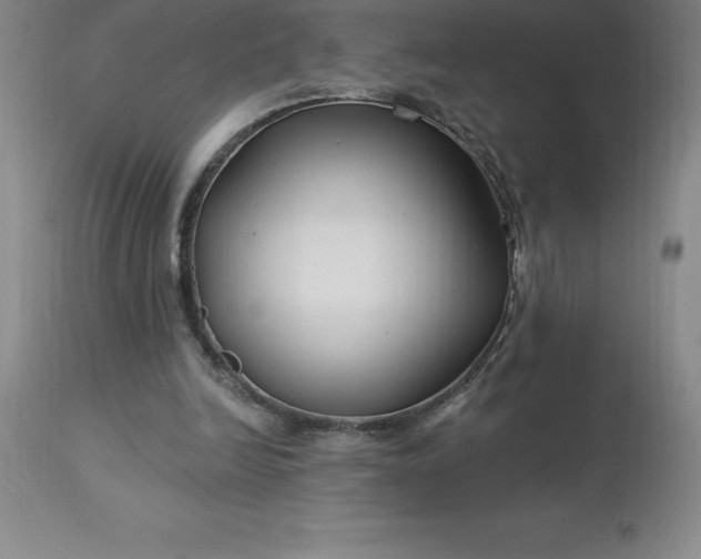 X0000113120246200909111146