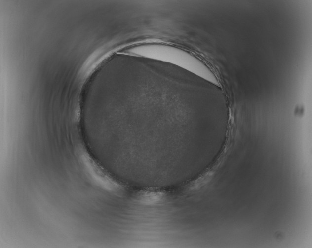 X0000113120247200909111146