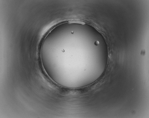 X0000113120248200909111146