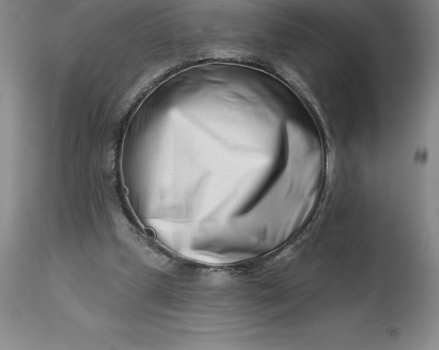 X0000113120249200909111146