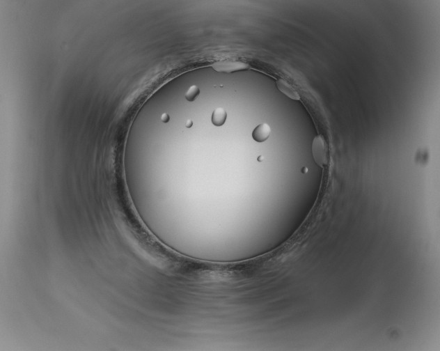 X0000113120250200909111146