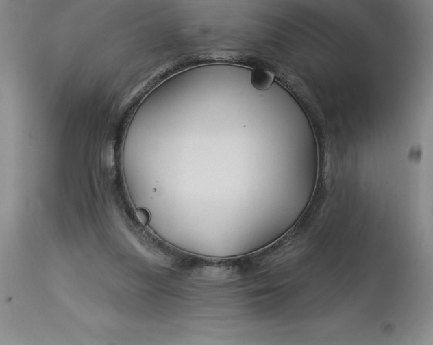 X0000113120251200909111146