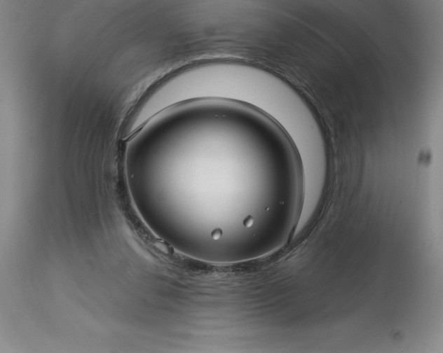 X0000113120252200909111146