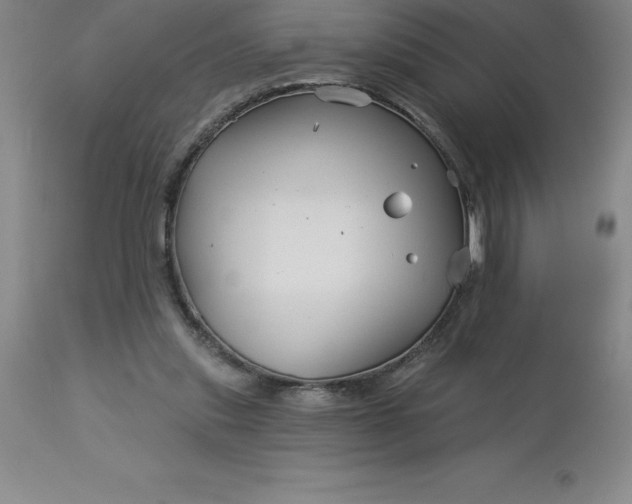 X0000113120253200909111146