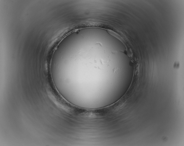 X0000113120254200909111146