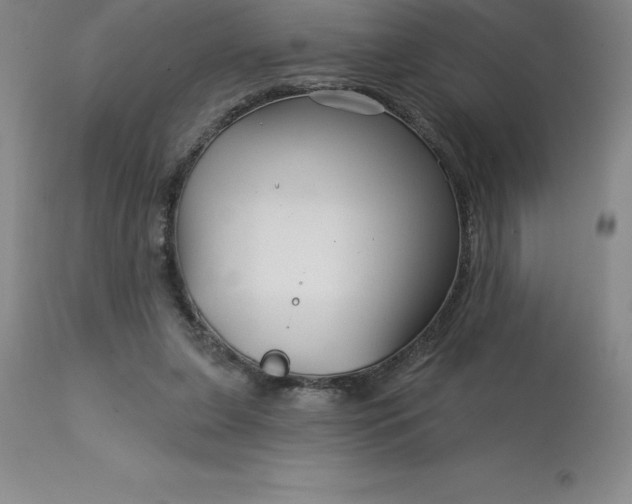 X0000113120255200909111146