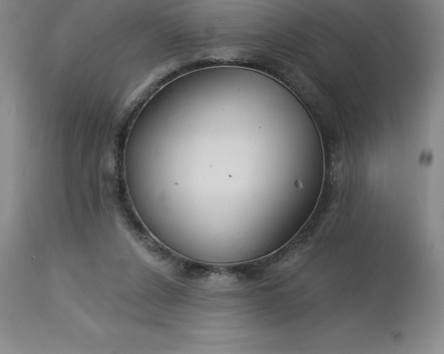 X0000113120256200909111146