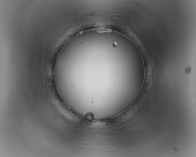 X0000113120257200909111146