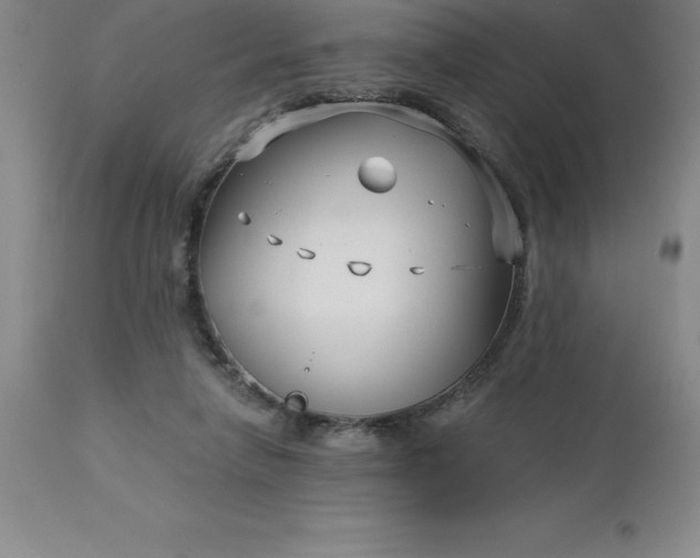 X0000113120258200909111146