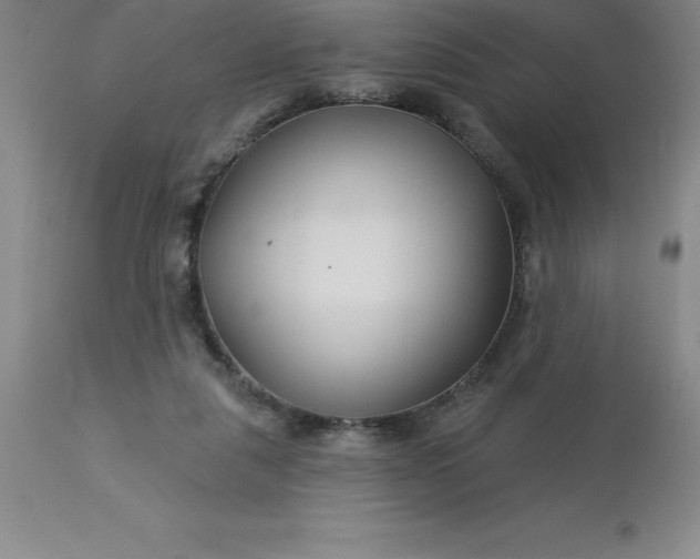 X0000113120259200909111146