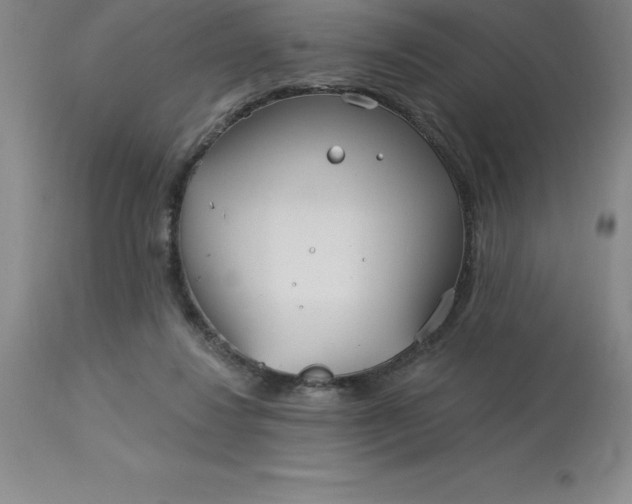 X0000113120260200909111146