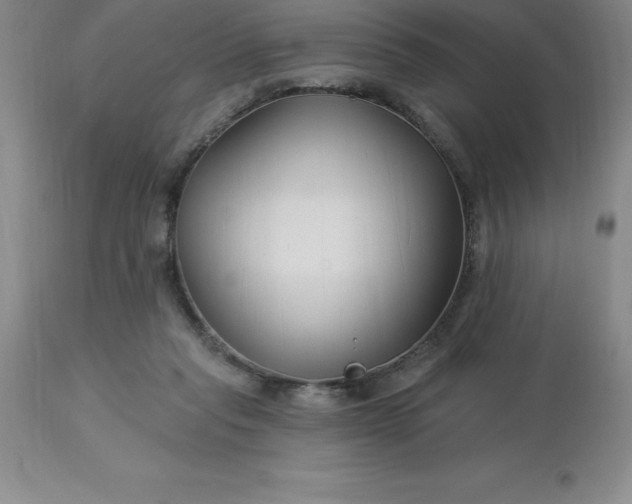 X0000113120261200909111147