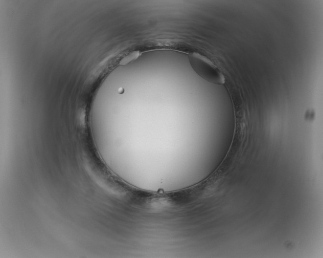 X0000113120262200909111147