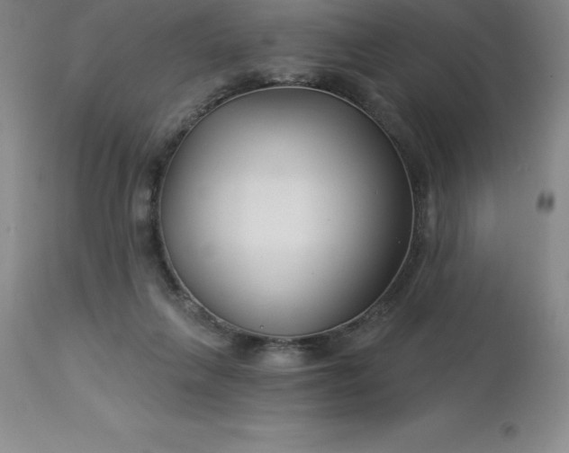 X0000113120263200909111147