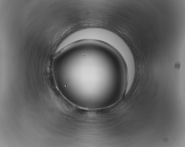 X0000113120264200909111147