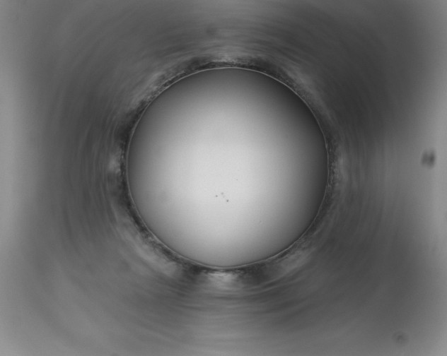 X0000113120265200909111147