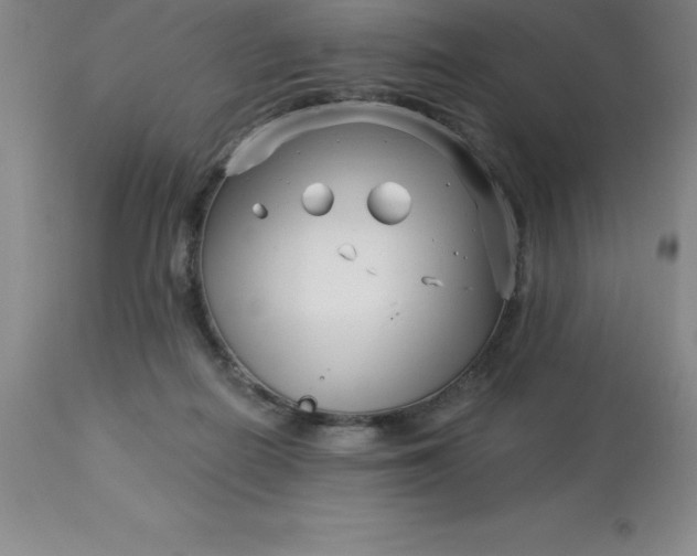 X0000113120266200909111147