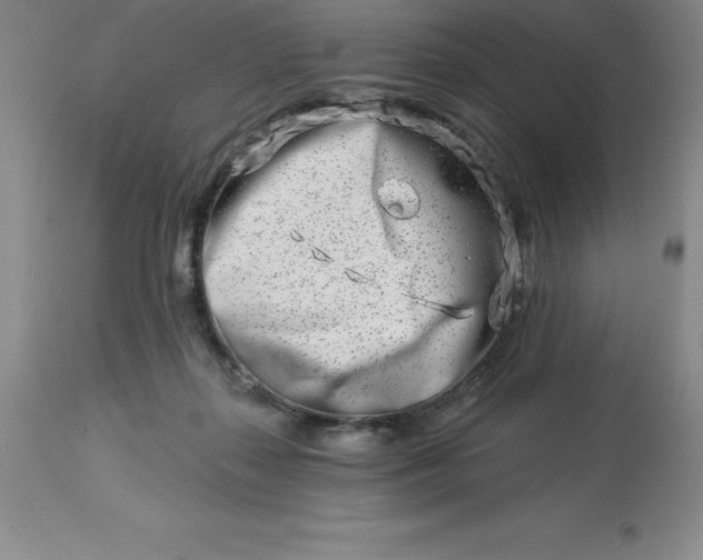 X0000113120267200909111147