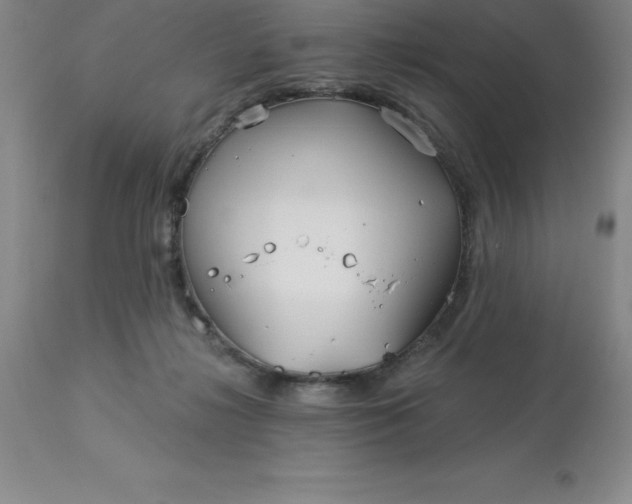 X0000113120268200909111147