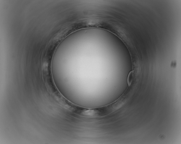 X0000113120269200909111147