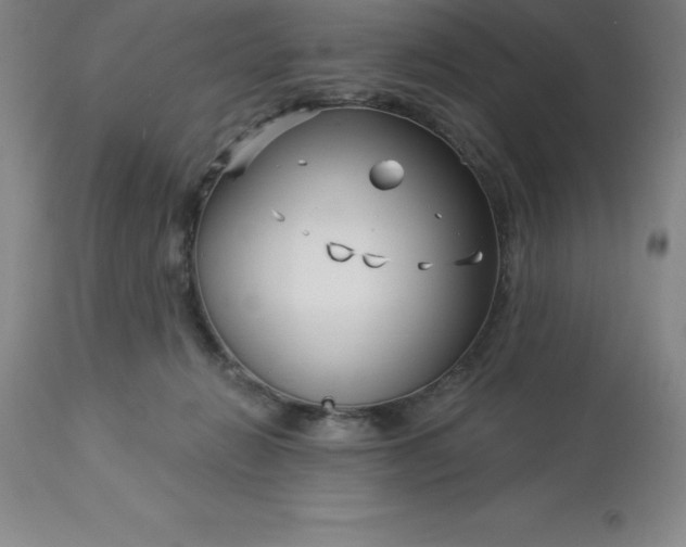 X0000113120270200909111147