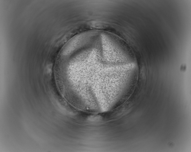 X0000113120271200909111147