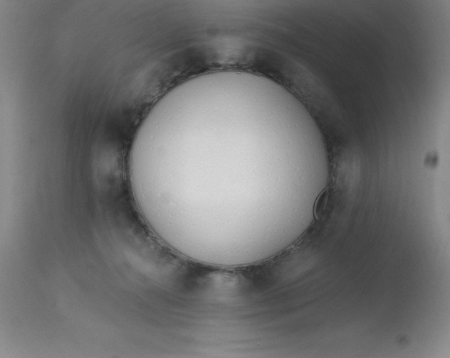 X0000113120272200909111147