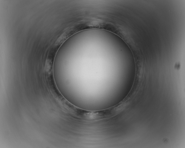 X0000113120273200909111147