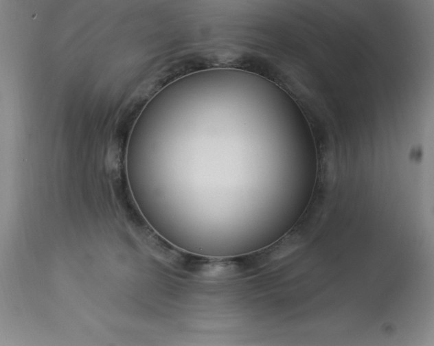 X0000113120274200909111147