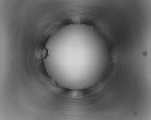 X0000113120275200909111147