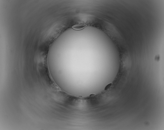 X0000113120276200909111147