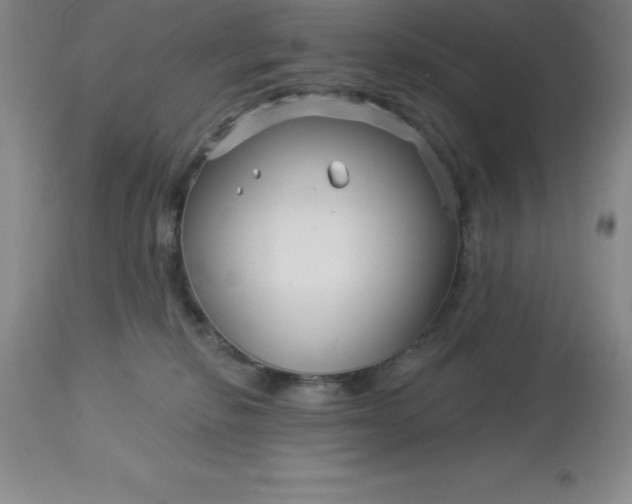 X0000113120278200909111147