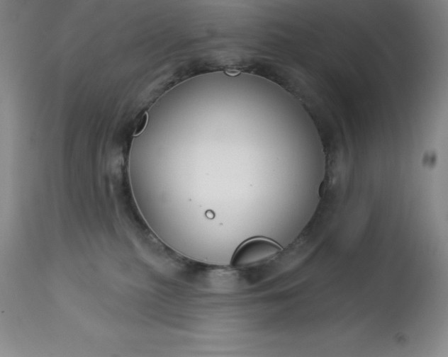 X0000113120279200909111147